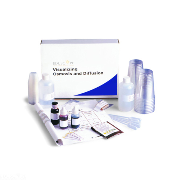 Visualising Osmosis &amp; Diffusion Investigation