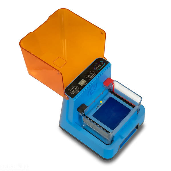 Integrated Electrophoresis System