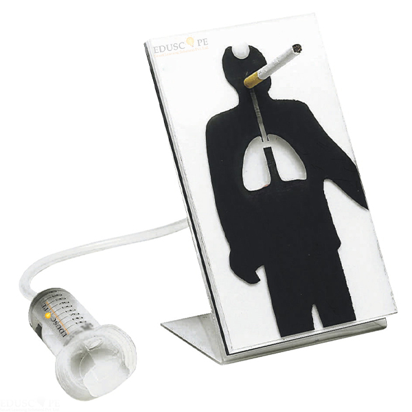 Effects of Smoking Model