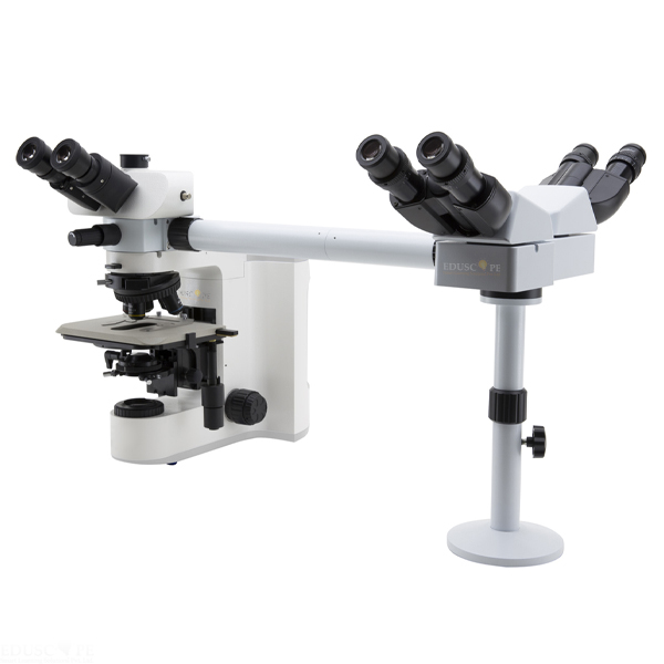 Three Head Research Microscope