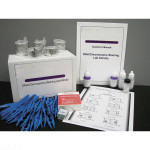 DNA/Chromosome Staining Lab Activity