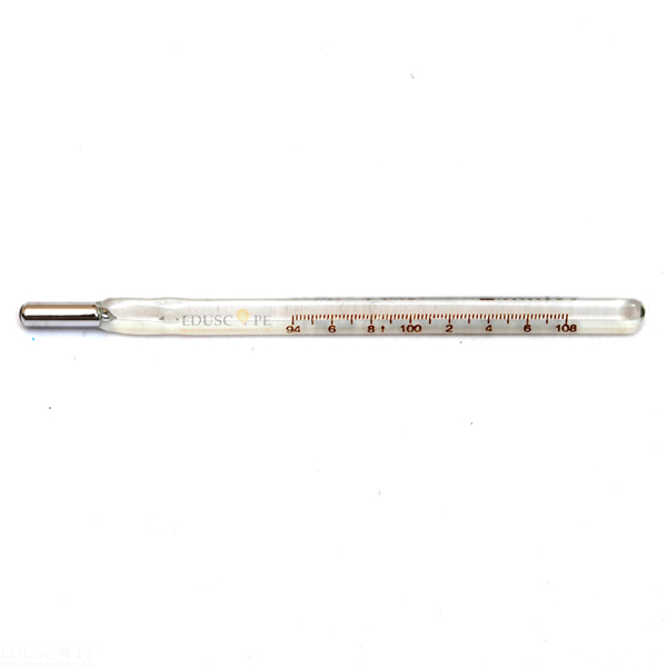 Rectal Thermometer