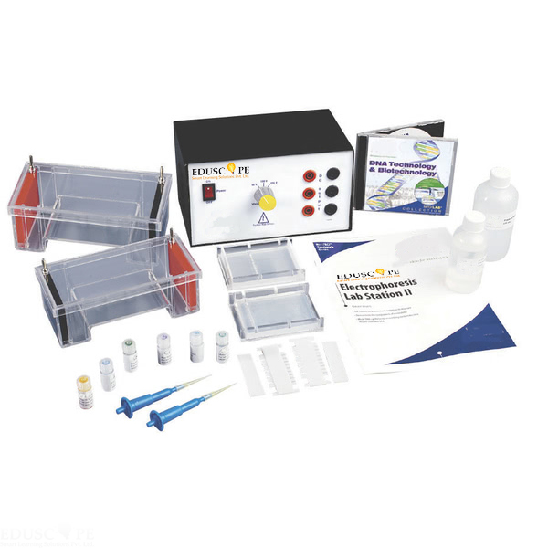 Electrophoresis Lab Station II