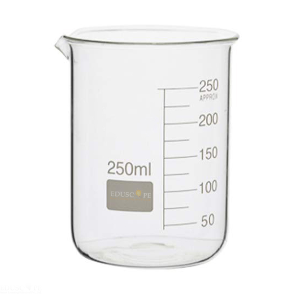 Glass Beaker