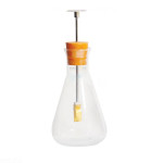 Electroscope in Flask Gold Leaf