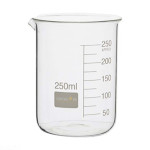 Glass Beaker